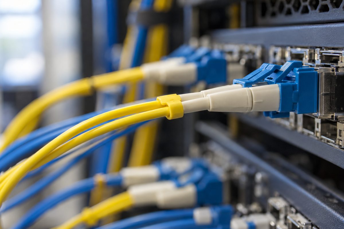A bundle of fibre-optic patch cables terminating in LC connectors